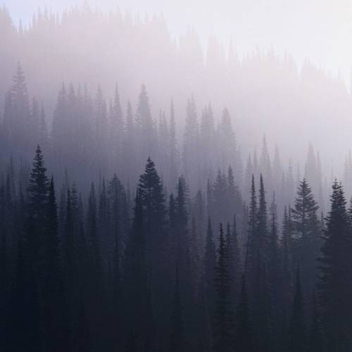 Vihan Messu : Lopun Ajan Jälkeen